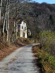 a country road and an old white house