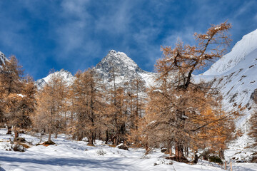 Großglockner, Winter, Lucknerhaus, Schnee, Schneedecke, weiß, schneeweiß, winterlich, Licht, Schatten, Alm, Osttirol, Köndnitztal, Eis, vereist, Spuren, Weg, kalt, Nationalpark, Hohe Tauern, Lärche, J