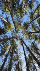 Obraz premium nature