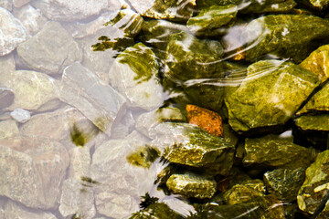 River bottom with rocks and moss