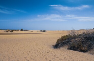 Desierto y paisaje solitario de las dunas de la playa de Maspalomas en la isla de Gran Canaria, España. Paisaje desértico y costero diseñado por el efecto del viento sobre la arena.