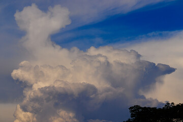 large white cumulus cloud, blown by the winds, rising under a blue sky.