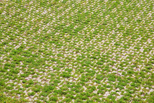 Grey concrete flooring blocks assembled on a substrate of sand with grass - type of flooring permeable to rain water as required by the building laws used for sidewalks and parking areas