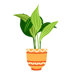Vector illustration of decorative leafy houseplant in a ceramic flower pot