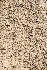 Drought, cracked earth background. Global warming concept.