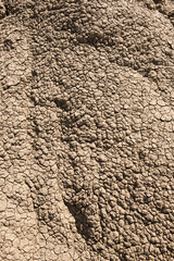 Drought, cracked earth background. Global warming concept.