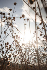 One Beautiful Night at Palo Duro Canyon, Texas
