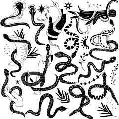 Mystical boho snake. Set black and white of snake, Leaves, Flowers, Snake wrapped around hand and moon. Witchcraft and Wild west. Mysterious snakes. vector illustration.