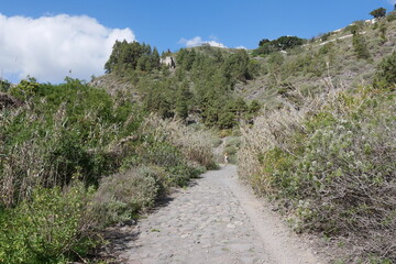 Fototapeta na wymiar Wanderweg im Barranco Guiniguada in Las Palmas