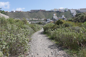 Fototapeta na wymiar Barranco Guiniguada in Las Palmas de Gran Canaria