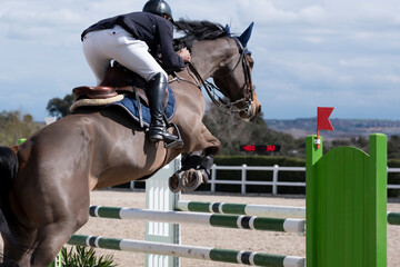 show jumping competition on horseback.
