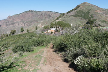 Wanderweg und Cruz de Tejeda mit Margeriten auf Gran Canaria