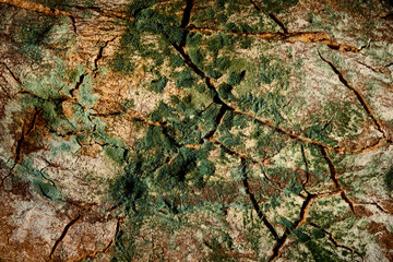Surface of moldy spoiled bread. Macro view. Spoiled toxic bread that are not intended to eat