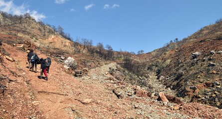 Obraz premium Planting trees in the burnt mountain forest of Marmaris