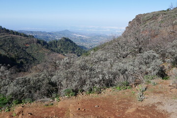 Berglandschaft auf Gran Canaria