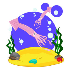 Cute squid swim on the bottom of the sea