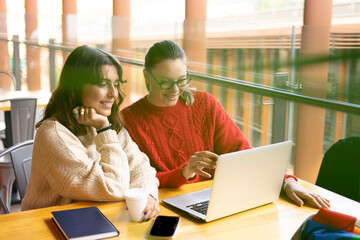 woman couple working on a laptop © Guirado