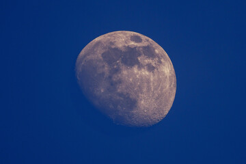 the moon © FrankBFoto