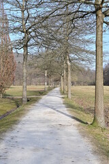 Pfad mit Allee durch den Kurpark Staatsbad Bad Brückenau, Franken, Bayern, Deutschland im Frühling bei blauem Himmel