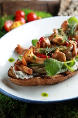 Bruschetta with fried mushrooms, chanterelles, tomatoes, fresh herbs and sour cream sauce on a white plate on green moss and wooden bark. Rustic, eco-style. Background image, copy space