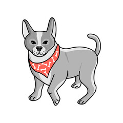 Dog breed Boston Terrier in gray and black colors with a neckerchief in red. Animal character in an active pose and isolated on white background.Hand drawn vector illustration.Design for cards,print.