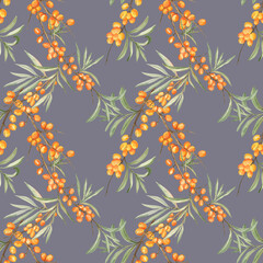 Seamless pattern with sea buckthorn on violet-gray background. For fabric, home textile, wrapping paper, wallpapers; perfect for late summer and autumn seasons. Elements are painted with watercolors.