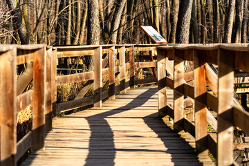 Row of wooden planks above the water of the bog, pile promenade above the bog