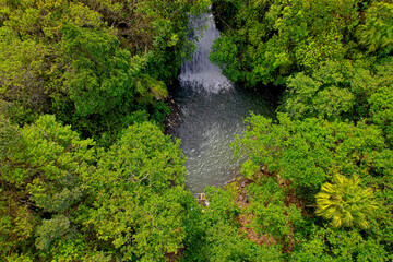 Naklejka na ściany i meble Aerial view of a hidden waterfall found in a forest located in Mauritius 
