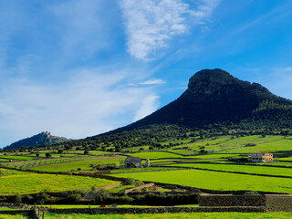 Obraz premium A rural landscape with meadow, a big rock, a hill and a medieval castle