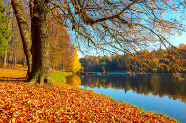 Bright autumn landscape with golden foliage and calm lake