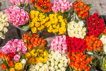 Tulips for Sale on Farmers Market, Austria