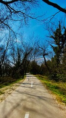 road in the park