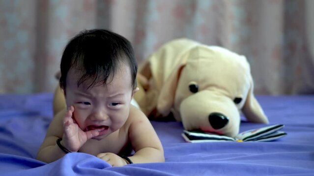 Baby boy cry at bed accompanied with dog plush toy