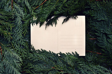Top view of green spruce branches with empty white greeting postcard. vergreen ashy pine tree sticks background. Creative minimalistic composition