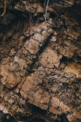 The stone texture of the rock