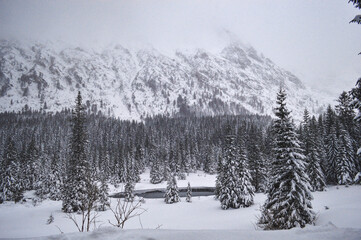 Winter forest and mountains in the fog