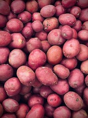 Red creamer potatoes