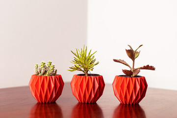 Plantas para Apartamento