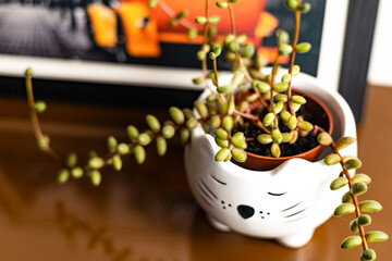 Planta Apartamento In Door