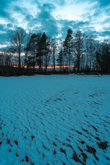 Obraz premium Trees by the shores of Lake Mjøsa a winter evening, Totenvika, Norway.