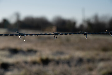 Barbed wire close up