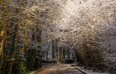 Beautiful winter road 