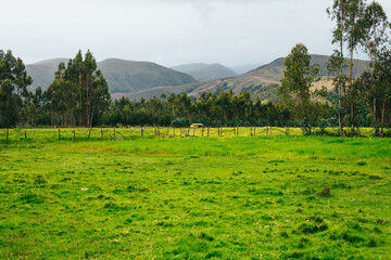 Paisaje de campo verde con montañas al fondo. Concepto de naturaleza.