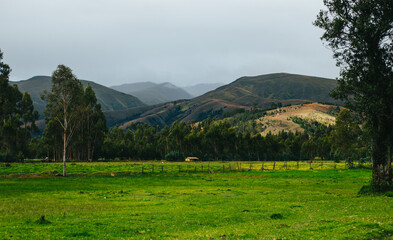 Paisaje de campo verde con montañas al fondo. Concepto de naturaleza.