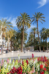 Alicante Alacant town city boulevard Esplanada d'Espanya travel traveling holidays vacation portrait format in Spain