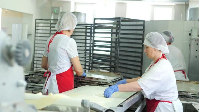 Industrial food factory or bakery.Production of confectionery products. Dough on an automatic conveyor belt, the process of baking cakes at the factory.A confectionery factory or bakery.