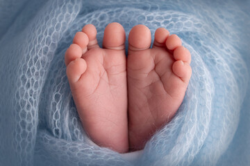 The tiny foot of a newborn. Soft feet of a newborn in a blue woolen blanket. Close up of toes, heels and feet of a newborn baby. Studio Macro photography. Woman's happiness. Concept.