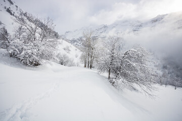 Fototapeta na wymiar paysage enneigé à Vaujany en Oisans dans les alpes en France en hiver