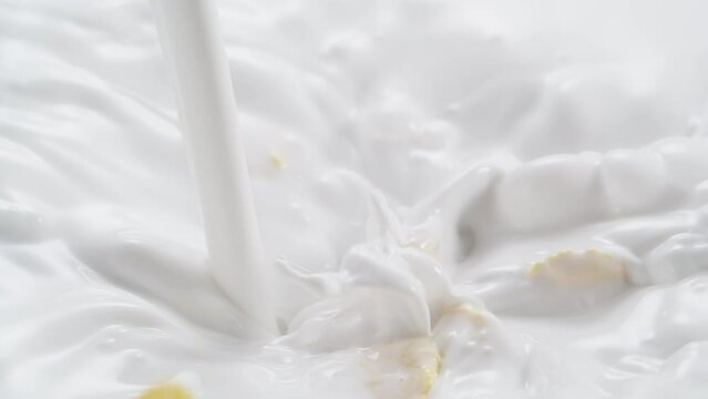 Cornflakes drop into the pouring milk flow and creating a lot of splashes and ripples