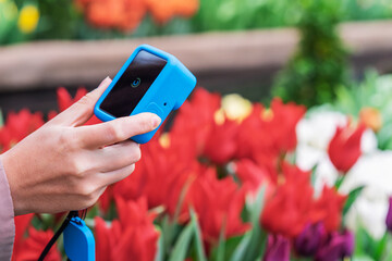 Hands of Girl using compact camera to take photo of flowers in park. Modern technology and nature